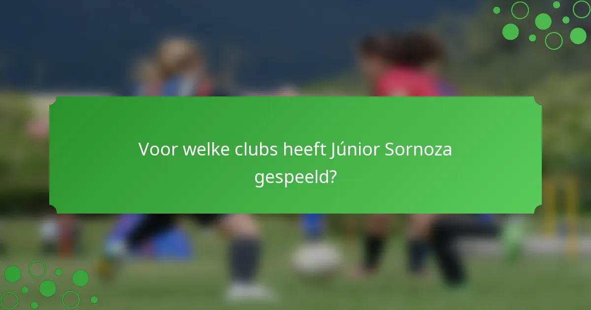Voor welke clubs heeft Júnior Sornoza gespeeld?